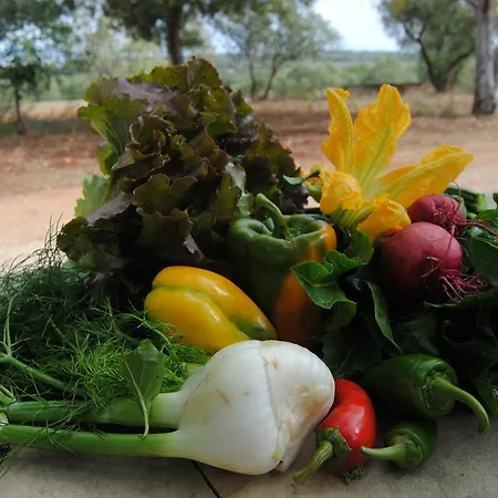 Farmház Il Rifugio Galugnano